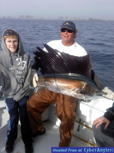 Sailfish &amp;amp; shark mattil