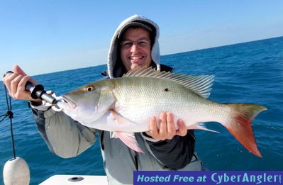 Click to Enlarge Photo