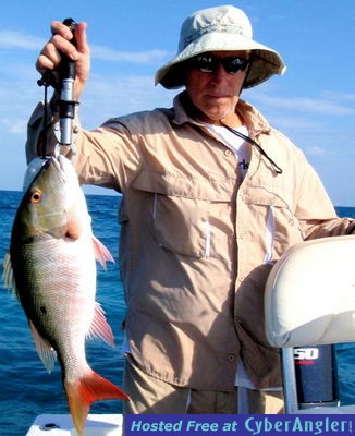 Click to Enlarge Photo