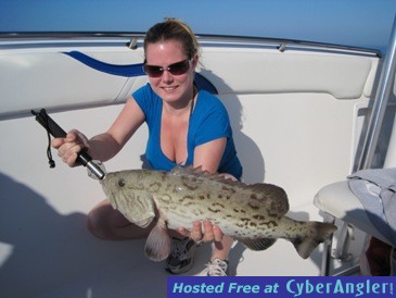 26-inch gag grouper released