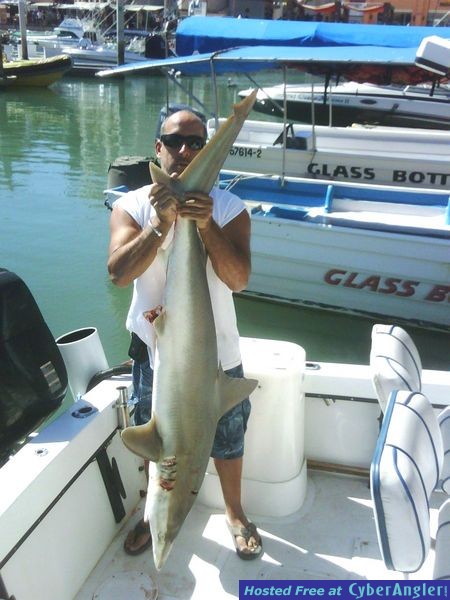 Click to Enlarge Photo