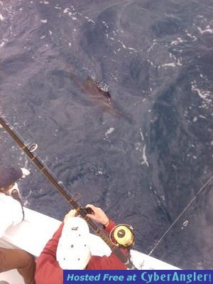 Click to Enlarge Photo