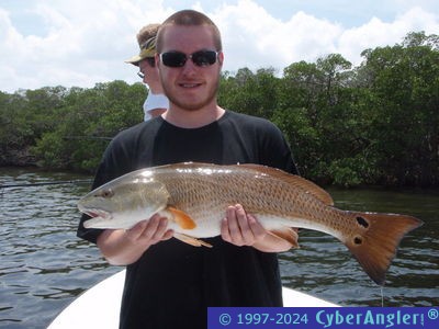 Click to Enlarge Photo