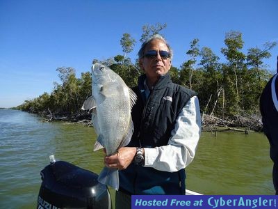 Click to Enlarge Photo