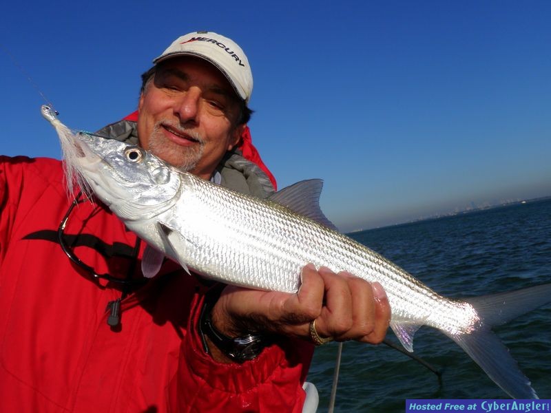 Wintertime Jigging in Biscayne Bay