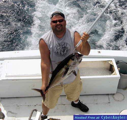 Black Fin Tuna