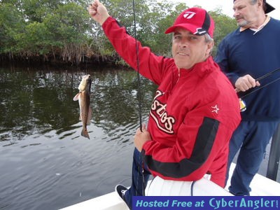 Click to Enlarge Photo