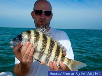 Pine Island Sheepshead