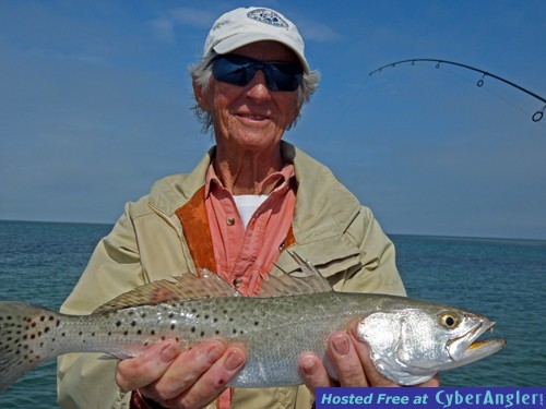Florida sea trout