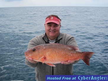 19-inch mangrove snapper