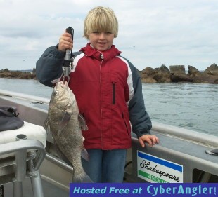 Click to Enlarge Photo