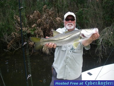 Feb 2011 Snook  DOA Cal