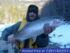 Winter Steelhead  http://www.noelgyger.ca