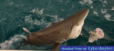 Jan_7_2011_web