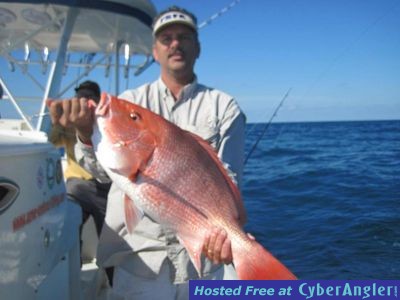 Red Snapper 2