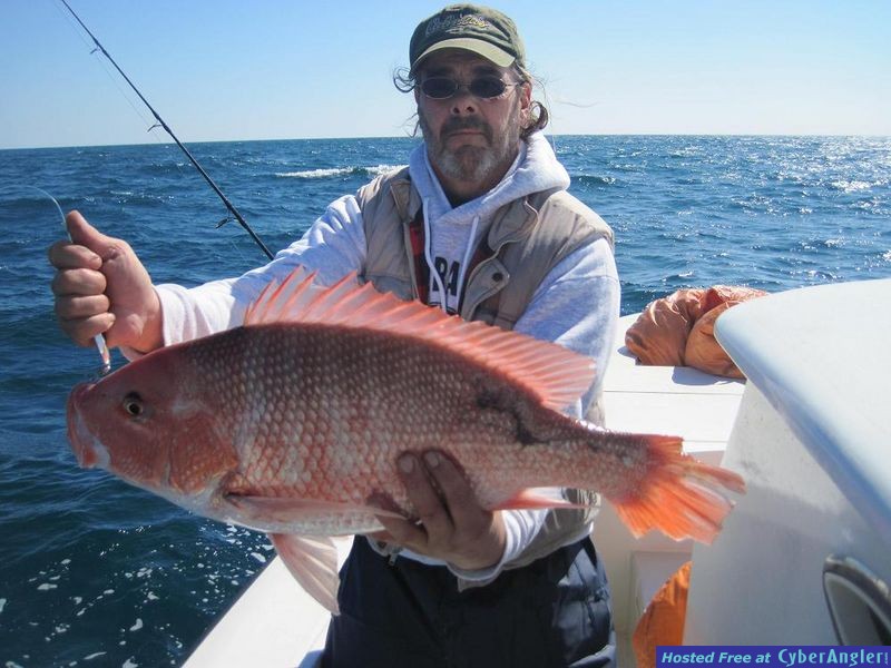 Red Snapper 3