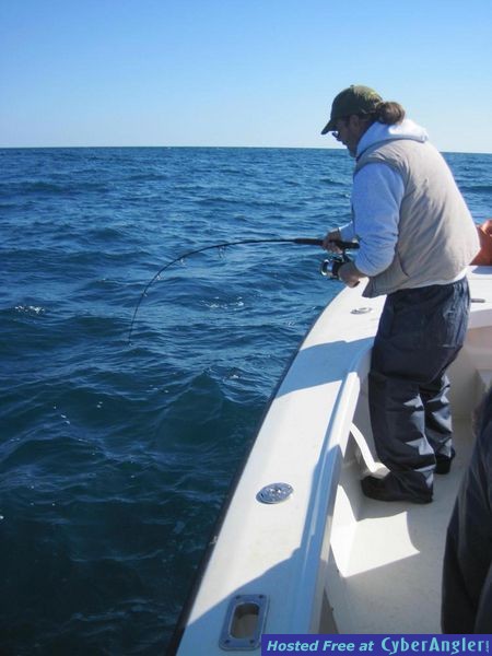 20lb Red Snapper on the line