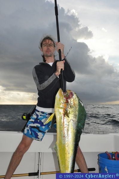 Winter Mahi's