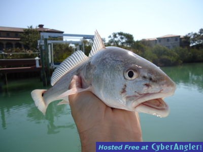 Click to Enlarge Photo