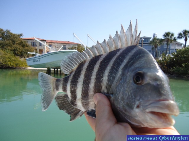 Perfect_Feb_Day_017