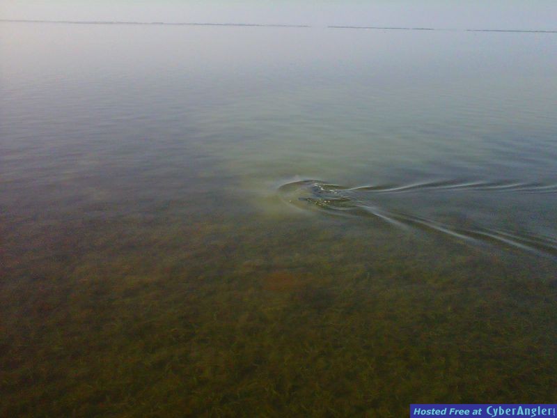 IMG00015-20110220-1009