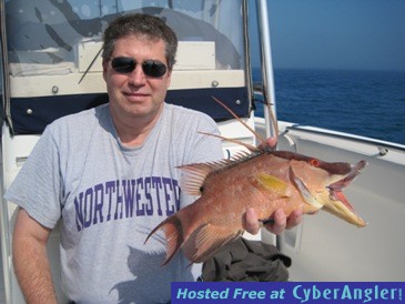 Click to Enlarge Photo