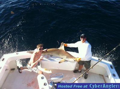 Click to Enlarge Photo