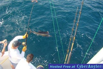 Click to Enlarge Photo