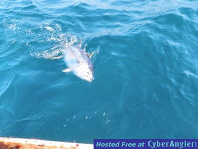 Venice, La. Offshore Fishing