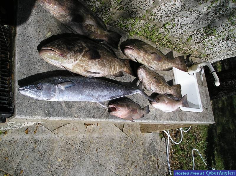 erin_sonny_pics_camera_176