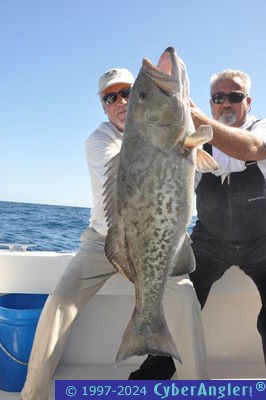 Big Grouper Jensen Beach Fishing DayMaker