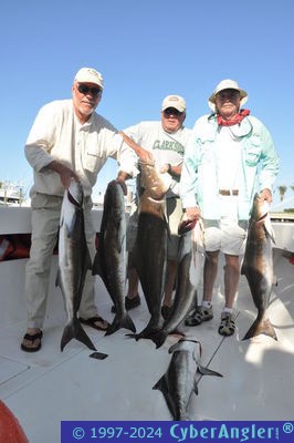 Cobia fishing DayMaker Style
