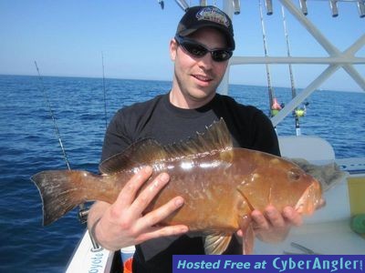 Red Grouper