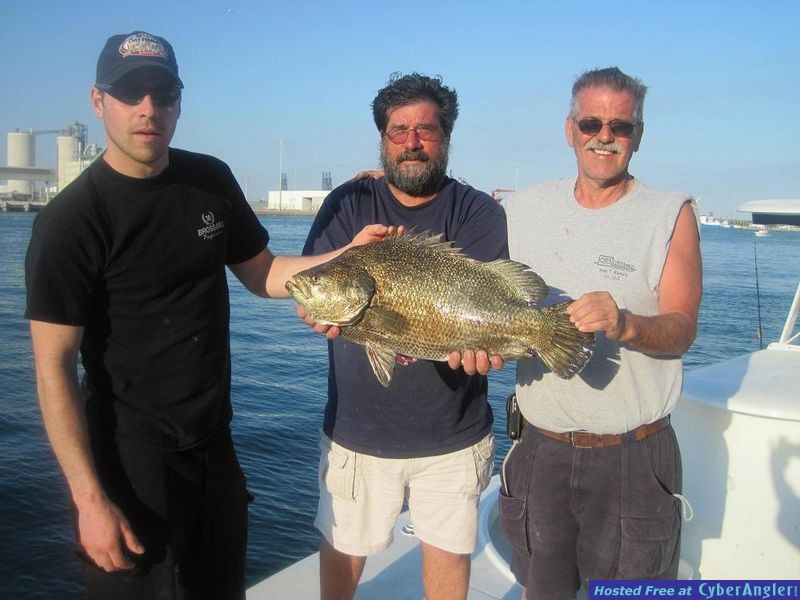 Tripletail with fishing charter