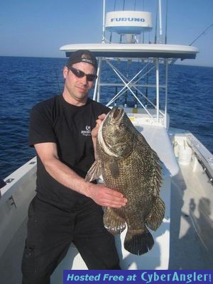 tripletail