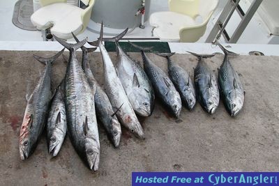 Click to Enlarge Photo