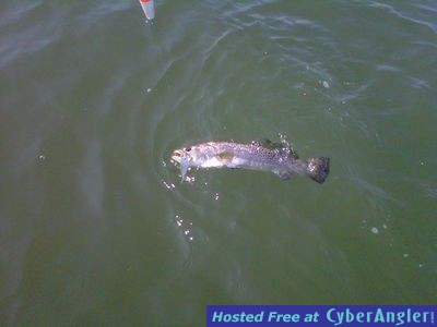 Click to Enlarge Photo