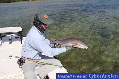 redfish-on-fly1