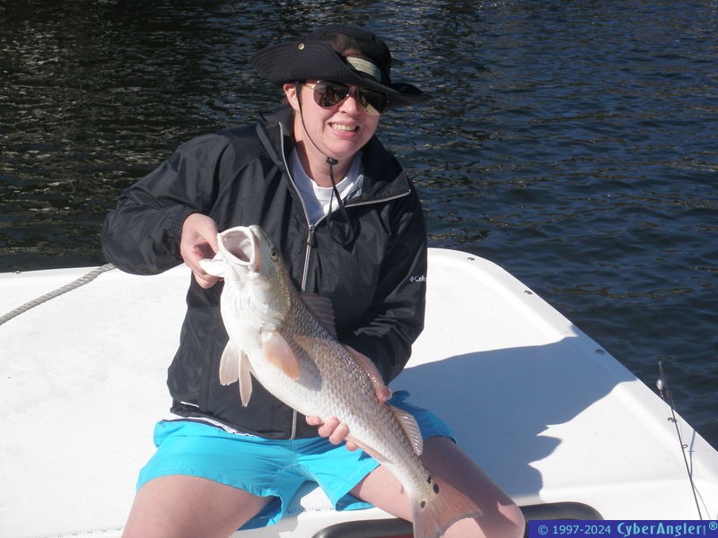 Click to Enlarge Photo