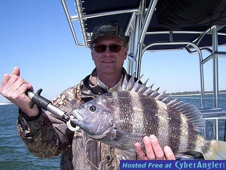 Pensacola Pass Sheepshead