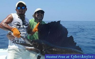 Click to Enlarge Photo