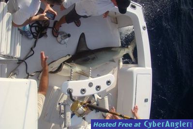 Click to Enlarge Photo