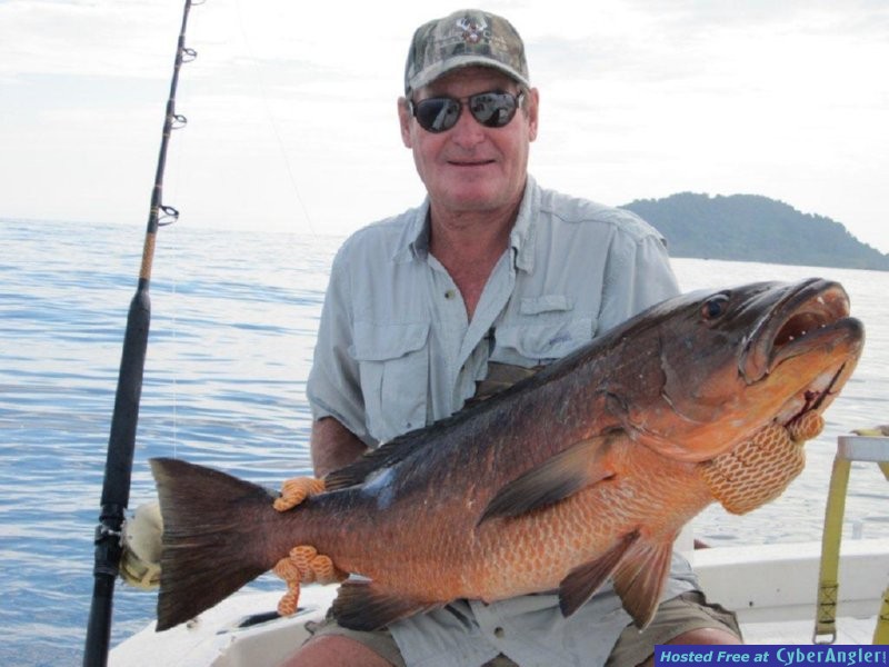 panama fishing snapper