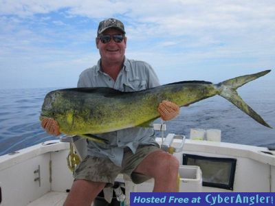 panama fishing dorado