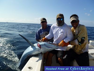 panama fishing marlin