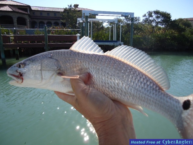 100_Reds_004