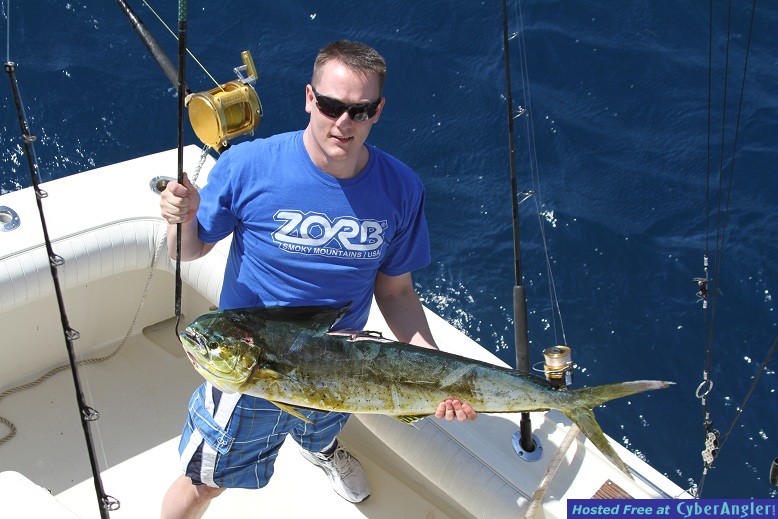 Mahi3