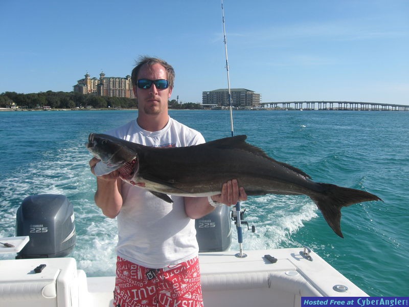Reel Talk Charters