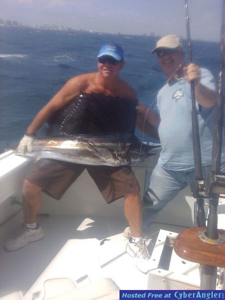 hank sailfish