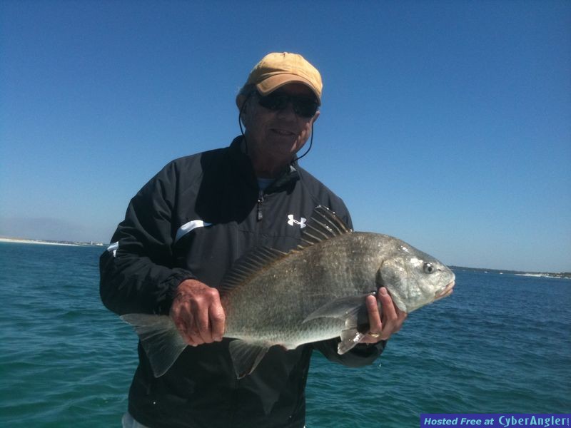 trout_418